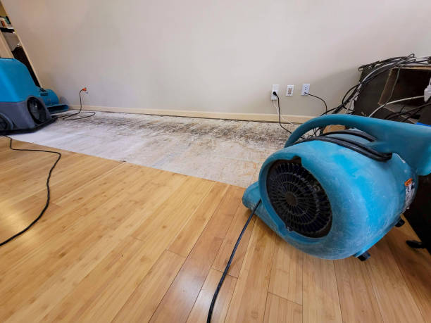Reliable Basement Flood Cleanup contractor in Yoder, CO by Hirex Water Damage