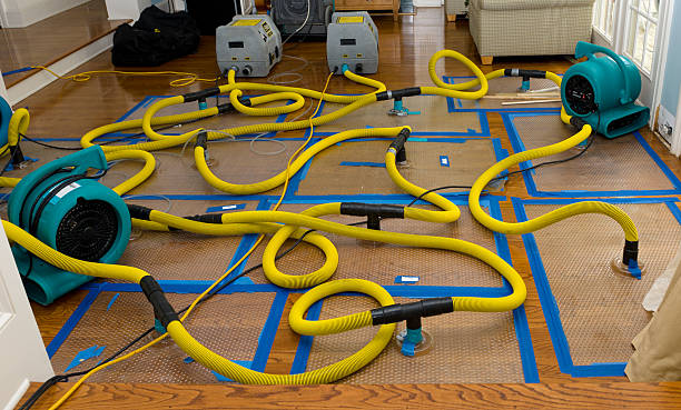 Professional Basement Flood Cleanup technician working in Yoder, CO